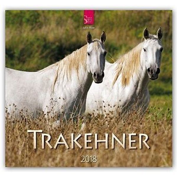 Trakehner 2018