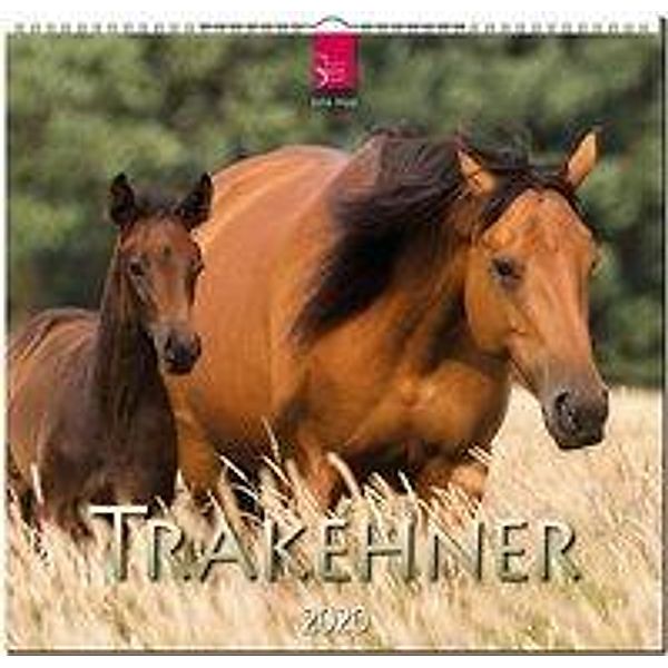 Trakehner 2020