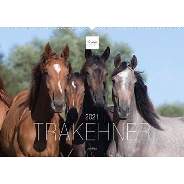 Trakehner 2021 (Wandkalender 2021 DIN A2 quer), Julia Hipp