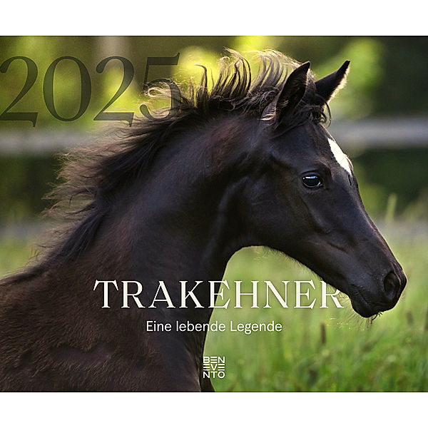 Trakehner 2025