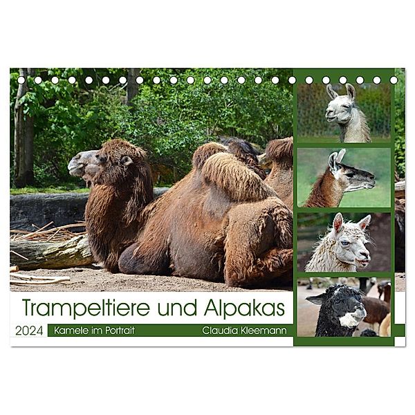 Trampeltiere und Alpakas (Tischkalender 2024 DIN A5 quer), CALVENDO Monatskalender, Claudia Kleemann