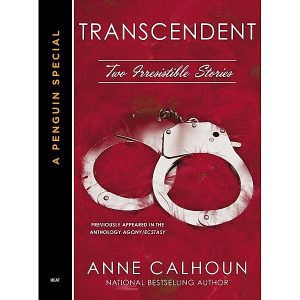 Transcendent / An Irresistible Novel Bd.2, Anne Calhoun