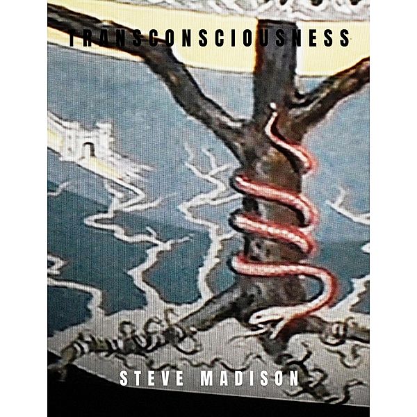 Transconsciousness, Steve Madison