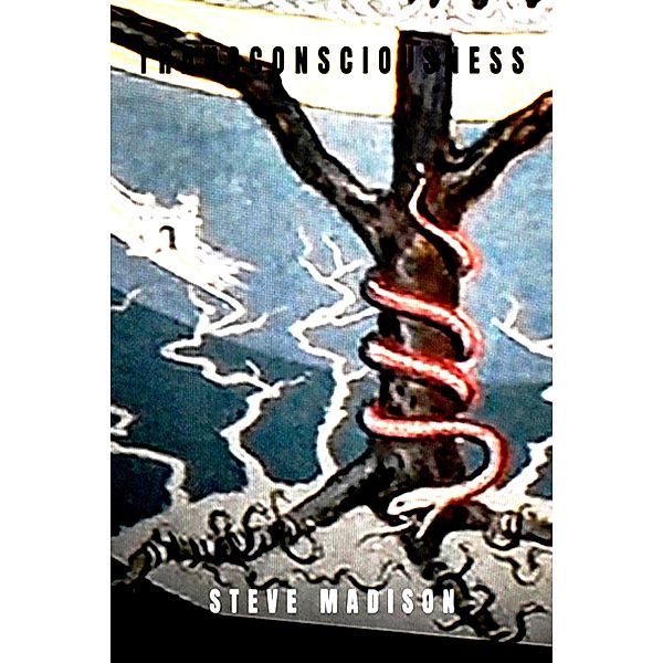 Transconsciousness (The Revolution of the Mind, #2) / The Revolution of the Mind, Steve Madison