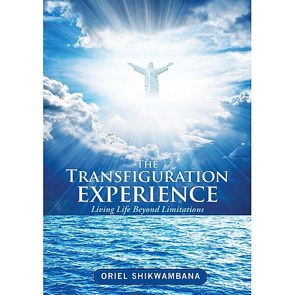 Transfiguration Experience / Oriel Shikwambana, Oriel Shikwambana