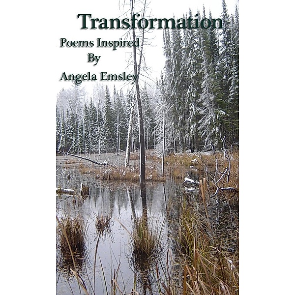 Transformation, Angela Emsley