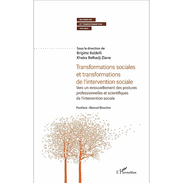 Transformations sociales et transformations de l'intervention sociale, Belhadj-Ziane Kheira Belhadj-Ziane