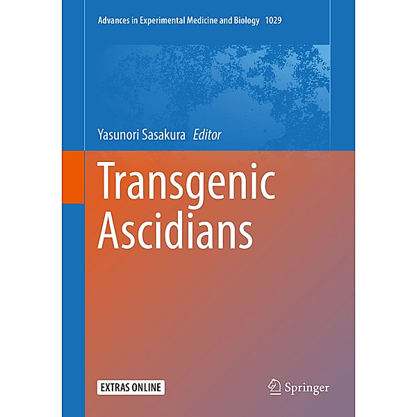 Transgenic Ascidians