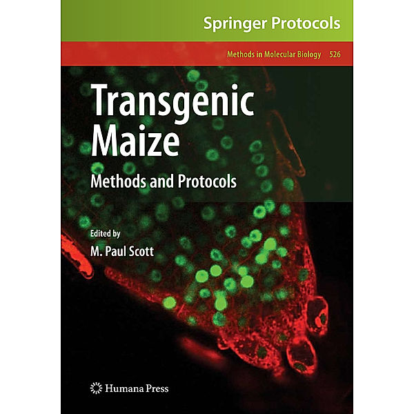 Transgenic Maize