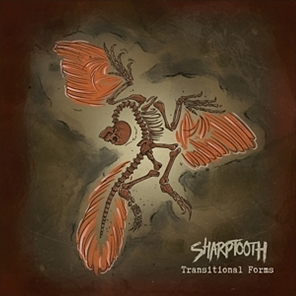 Transitional Forms, Sharptooth