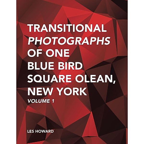 Transitional Photographs of One Blue Bird Square Olean, New York, Les Howard