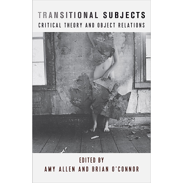 Transitional Subjects / New Directions in Critical Theory Bd.67