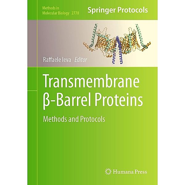 Transmembrane ss-Barrel Proteins / Methods in Molecular Biology Bd.2778