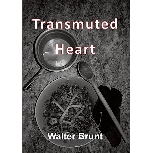 Transmuted Heart / The Alchemist Series Bd.2, Walter Brunt