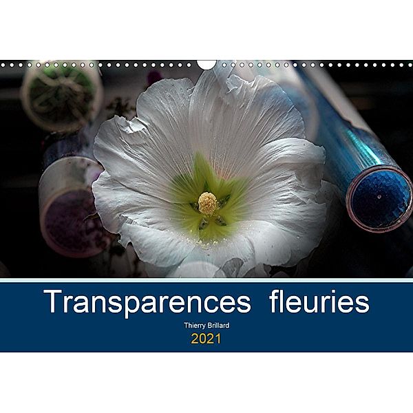 Transparences fleuries (Calendrier mural 2021 DIN A3 horizontal), Thierry BRILLARD