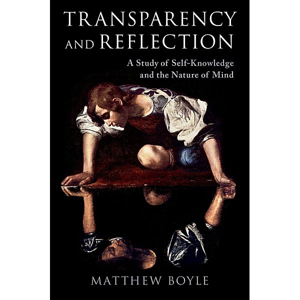 Transparency and Reflection, Matthew Boyle