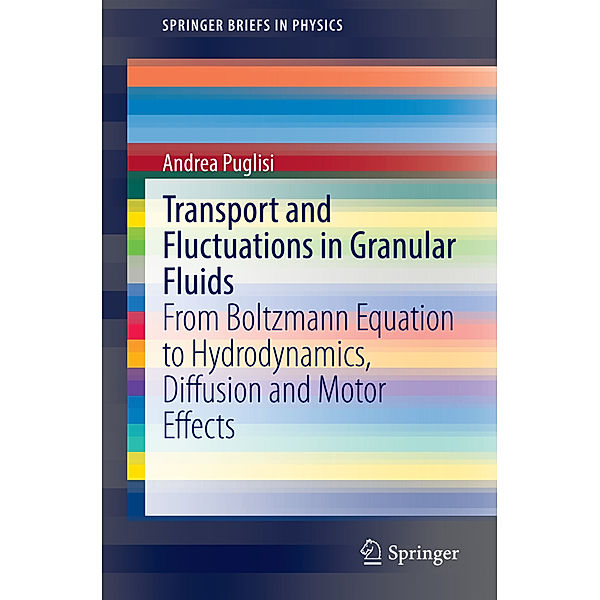 Transport and Fluctuations in Granular Fluids, Andrea Puglisi