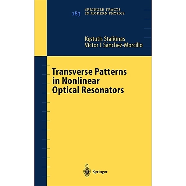 Transverse Patterns in Nonlinear Optical Resonators, Kestutis Staliunas, V.J. Sánchez-Morcillo