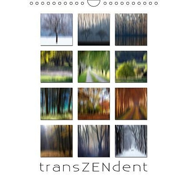 Transzendent (Wandkalender 2015 DIN A4 hoch), Martina Cross