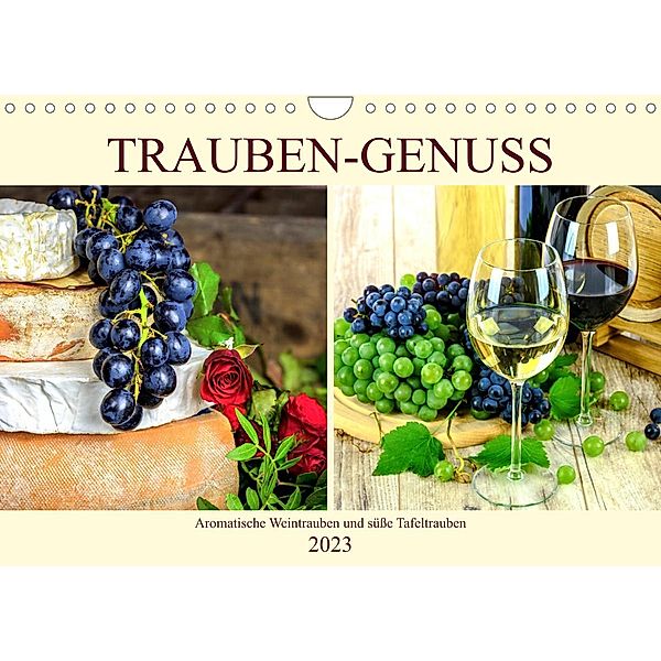 Trauben-Genuss. Aromatische Weintrauben und süße Tafeltrauben (Wandkalender 2023 DIN A4 quer), Rose Hurley