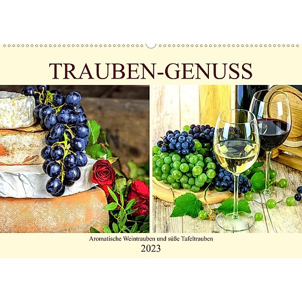 Trauben-Genuss. Aromatische Weintrauben und süße Tafeltrauben (Wandkalender 2023 DIN A2 quer), Rose Hurley