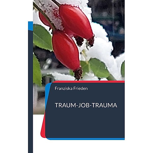 Traum-Job-Trauma, Franziska Frieden