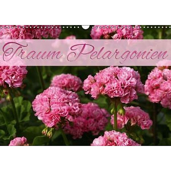 Traum Pelargonien (Wandkalender 2015 DIN A3 quer), Martina Cross