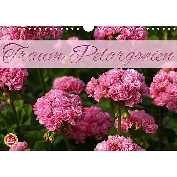 Traum Pelargonien (Wandkalender 2019 DIN A4 quer), Martina Cross