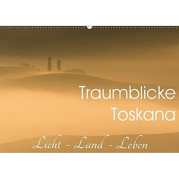 Traumblicke Toskana - Licht, Land, Leben (Wandkalender 2017 DIN A2 quer), Irma van der Wiel