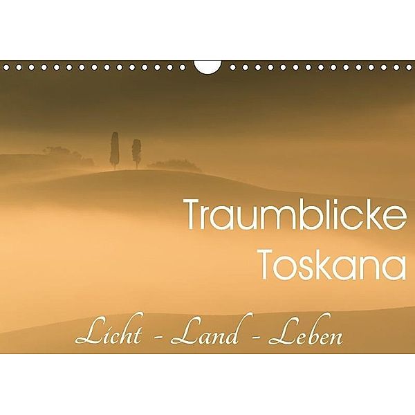 Traumblicke Toskana - Licht, Land, Leben (Wandkalender 2017 DIN A4 quer), Irma van der Wiel