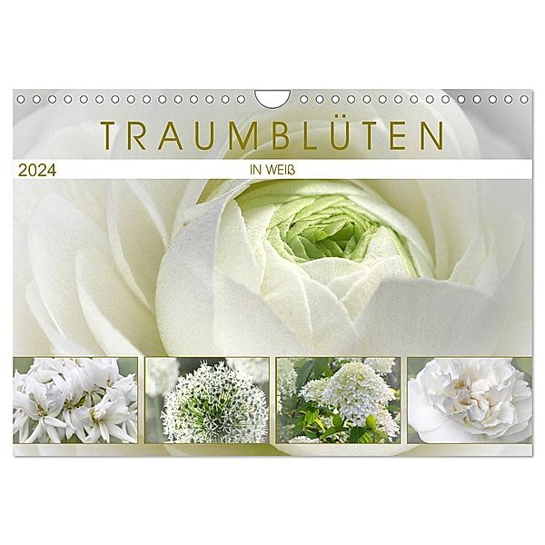 Traumblüten in Weiss (Wandkalender 2024 DIN A4 quer), CALVENDO Monatskalender, Martina Cross