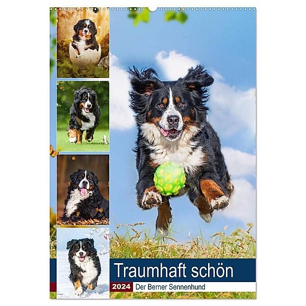 Traumhaft schön - Der Berner Sennenhund (Wandkalender 2024 DIN A2 hoch), CALVENDO Monatskalender, Sigrid Starick