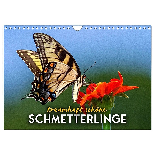 Traumhaft schöne Schmetterlinge (Wandkalender 2024 DIN A4 quer), CALVENDO Monatskalender, Happy Monkey