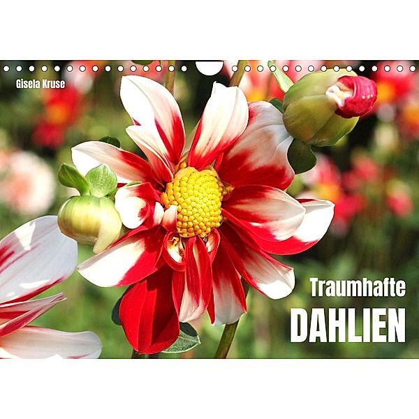 Traumhafte Dahlien (Wandkalender 2022 DIN A4 quer), Gisela Kruse