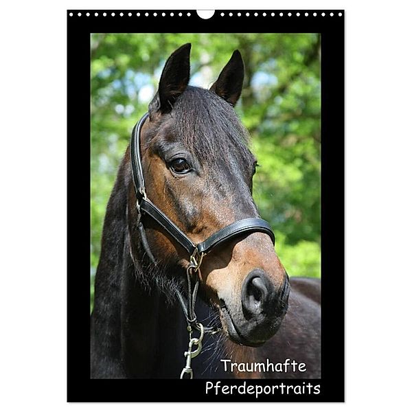Traumhafte Pferdeportraits (Wandkalender 2025 DIN A3 hoch), CALVENDO Monatskalender, Calvendo, Christine Daus