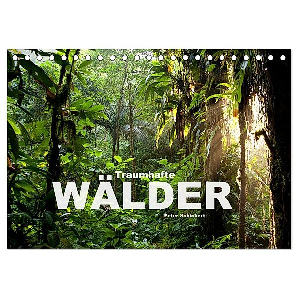 Traumhafte Wälder (Tischkalender 2024 DIN A5 quer), CALVENDO Monatskalender, Peter Schickert
