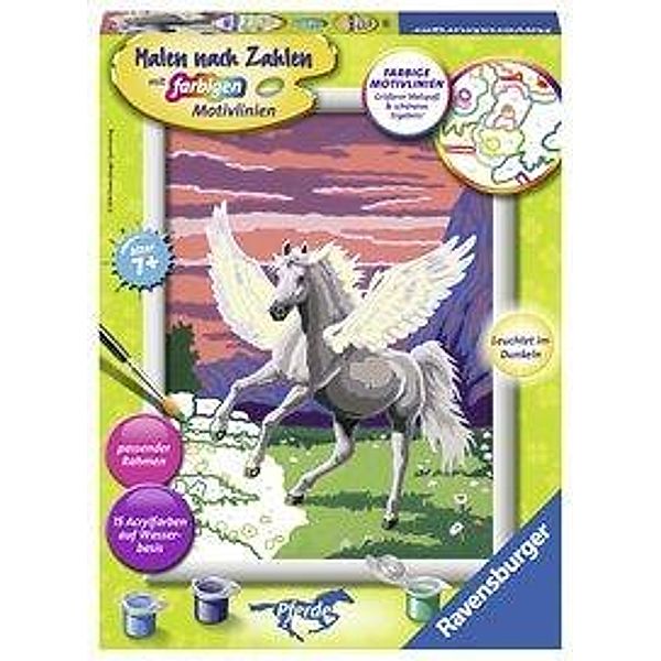 Traumhafter Pegasus Mal-Set