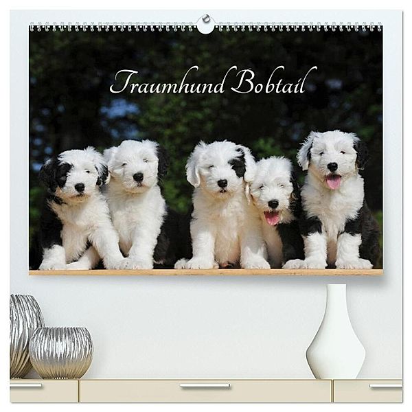 Traumhund Bobtail (hochwertiger Premium Wandkalender 2025 DIN A2 quer), Kunstdruck in Hochglanz, Calvendo, Sigrid Starick