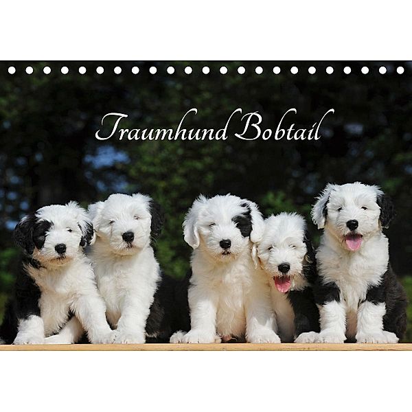 Traumhund Bobtail (Tischkalender 2020 DIN A5 quer), Sigrid Starick