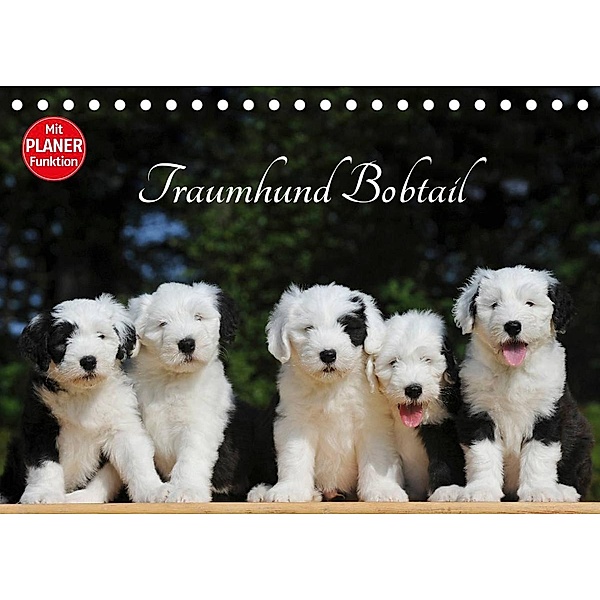 Traumhund Bobtail (Tischkalender 2023 DIN A5 quer), Sigrid Starick