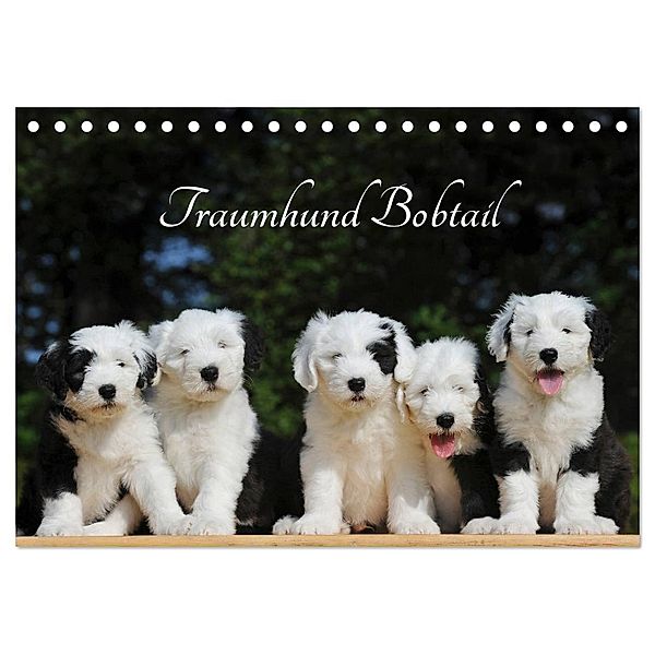 Traumhund Bobtail (Tischkalender 2024 DIN A5 quer), CALVENDO Monatskalender, Sigrid Starick