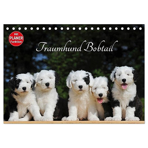 Traumhund Bobtail (Tischkalender 2024 DIN A5 quer), CALVENDO Monatskalender, Sigrid Starick
