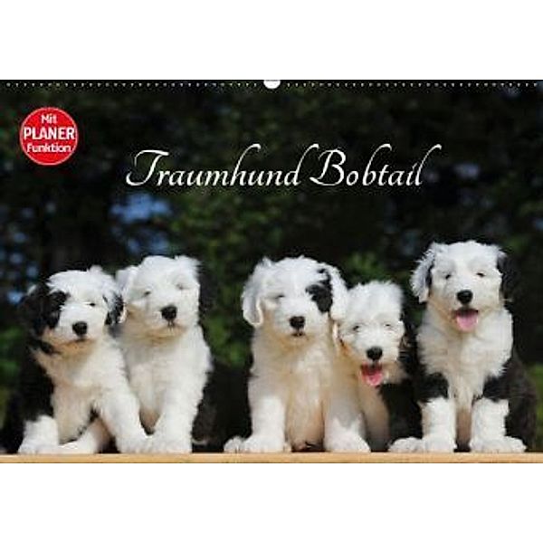 Traumhund Bobtail (Wandkalender 2016 DIN A2 quer), Sigrid Starick