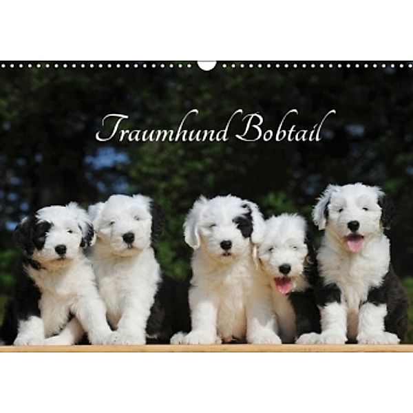 Traumhund Bobtail (Wandkalender 2016 DIN A3 quer), Sigrid Starick