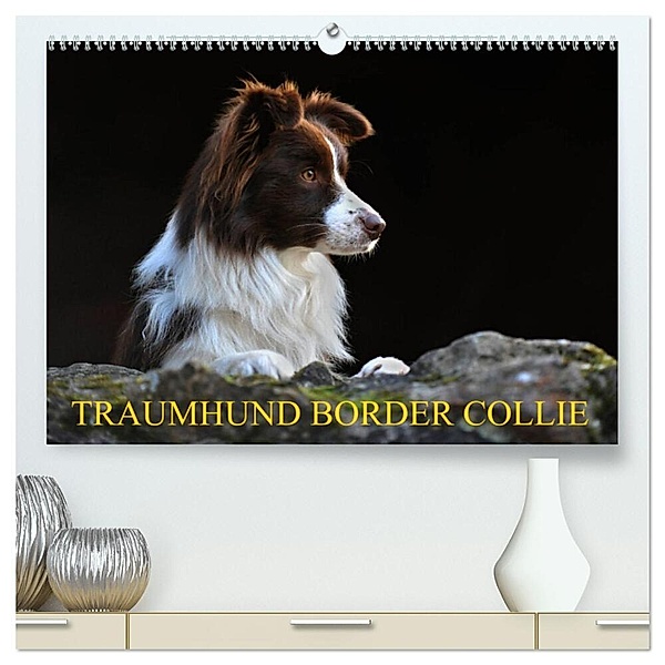 Traumhund Border Collie (hochwertiger Premium Wandkalender 2024 DIN A2 quer), Kunstdruck in Hochglanz, Sigrid Starick