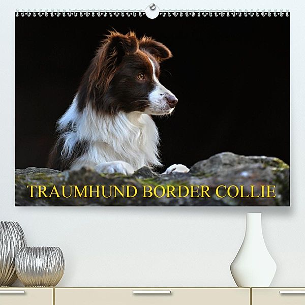 Traumhund Border Collie (Premium-Kalender 2020 DIN A2 quer), Sigrid Starick
