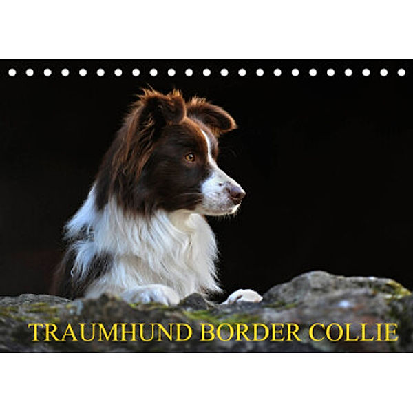Traumhund Border Collie (Tischkalender 2022 DIN A5 quer), Sigrid Starick
