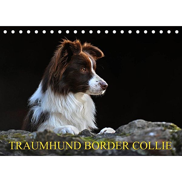 Traumhund Border Collie (Tischkalender 2023 DIN A5 quer), Sigrid Starick