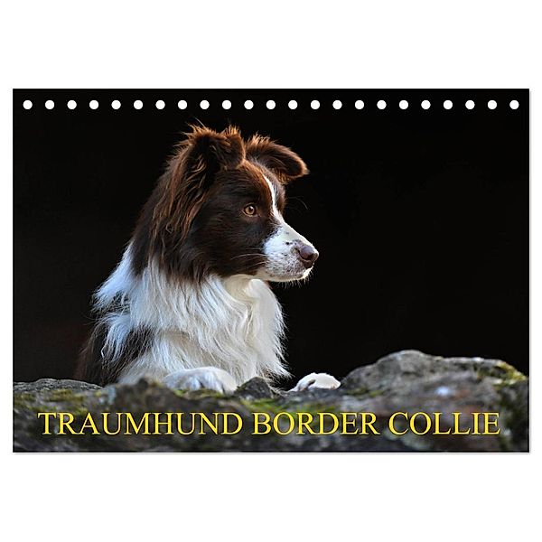 Traumhund Border Collie (Tischkalender 2024 DIN A5 quer), CALVENDO Monatskalender, Sigrid Starick