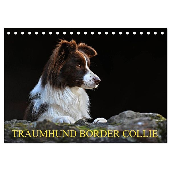 Traumhund Border Collie (Tischkalender 2025 DIN A5 quer), CALVENDO Monatskalender, Calvendo, Sigrid Starick